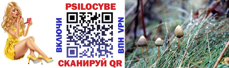 shop как зайти  Таруса  Псилоцибиновые грибы GOLDEN TEACHER 